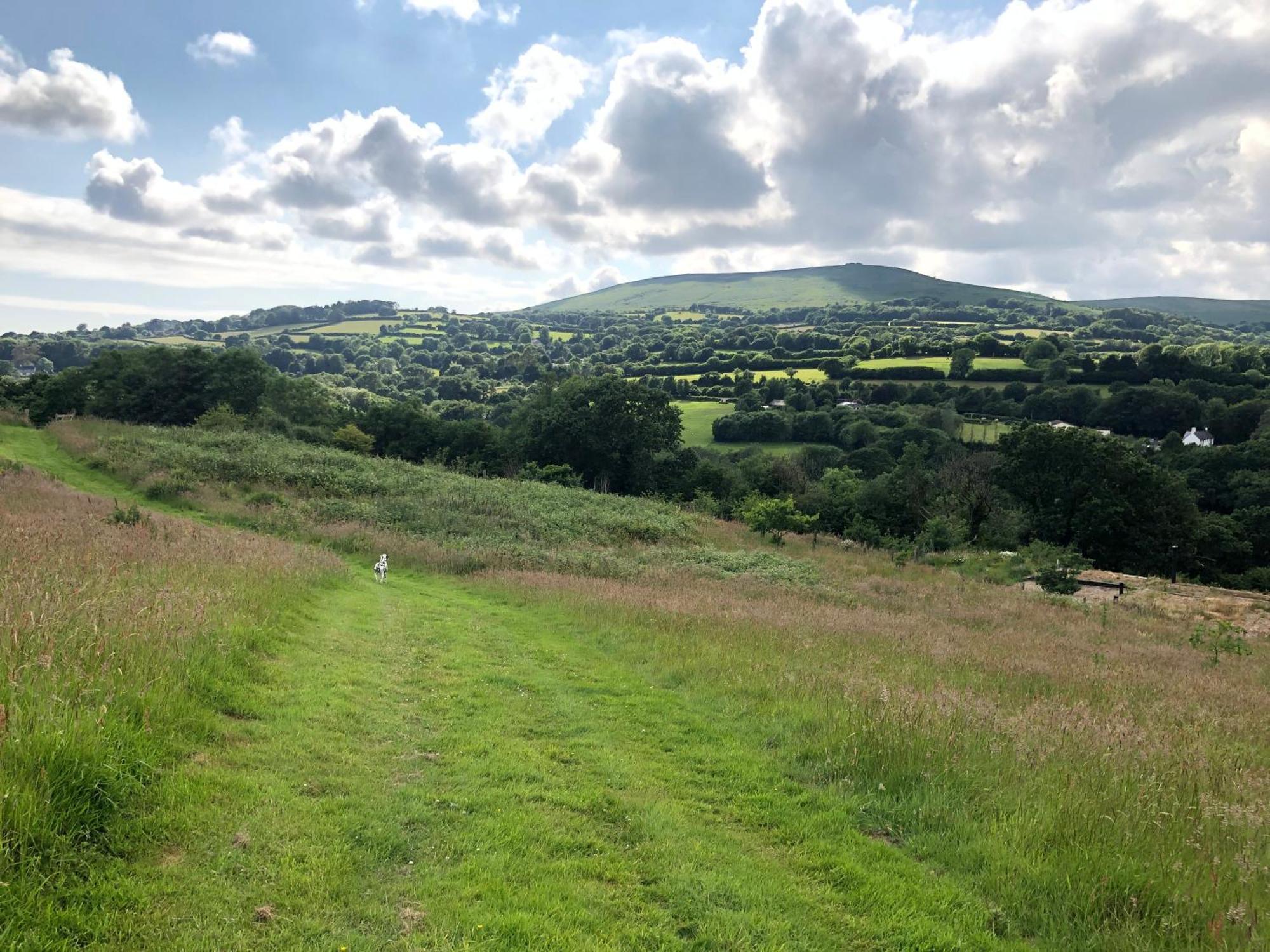 Foxesden, Unique Eco Cabin, Dartmoor Views South Brent Εξωτερικό φωτογραφία